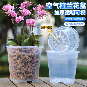 QUZHIYUANYI | High Transparency Root-viewing Orchid Pot