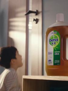 Dettol | Antibacterial Mite-removal Disinfectant Liquid 3.6 Jin