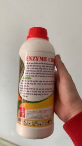 ENZYME CHITINI Ung Trứng Tuyến Trùng Ngăn Ngừa Bứu Rễ Héo Rủ Héo Xanh