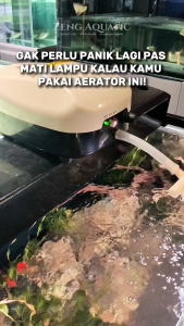 Pompa Aerator AC DC Sunsun YT818 20 Watt 20 L per Menit Anti Mati Listrik by Zeng Aquatic