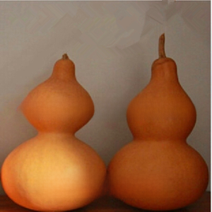 Special Offer Flaw Extra Large Small and Medium Natural Bottle Gourd Ceiling Ornament Pyrography Practice Gourd Formoxibustion Raw Material Gourd Bird Nest