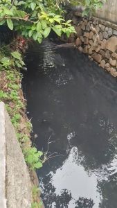 Slater double dobel propeler umpan casting gabus toman