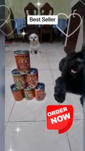 Monge Special Dog 400g Special Dog in Can