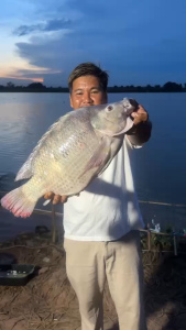 โตสปังหอมตาล เหยื่อตกปลา เหยื่อตกปลาหน้าดิน ครบทุกสูตร ขนาด 700 กรัม- 1 กก.เหยื่อหน้าดิน ตกปลา เบ็ด เหยื่อปลานิล