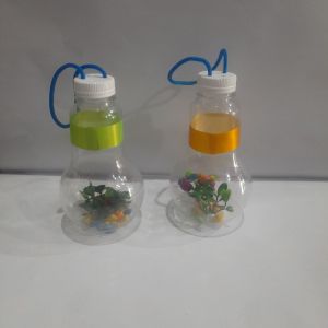 AQUARIUM MINI MIKA KARAKTER BOHLAM / AQUARIUM MINI MIKA