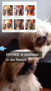 70g Gourmet Dog Treats: A Perfect Snack for All Stages & Sizes