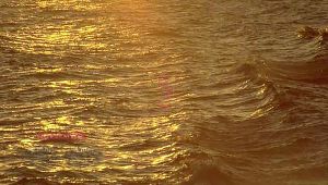 อาหารปลาคาร์ฟ Tenryu เทนริวแดง  เม็ด 4 มม. (size L) ขนาด 4 กก. x จำนวน 1 ถุง