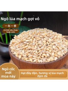 Dehulled New Barley Groat