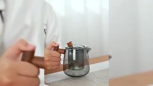 Radja Sport Teko Teh Kaca Tahan Panas Model Chinese dengan Saringan Glass 480ml