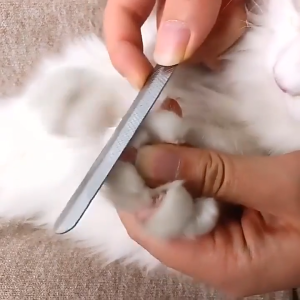 Professional Pet Nail Clipper Stainless Steel with Nail File Tool for Dogs and Cats Grooming Cutter Safe Sharp Durable Pet Grooming Supplies