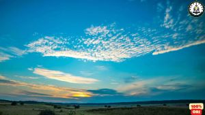 Mursyid Tarekat Nusantara: Pengembangan Diri & Produk Spiritual