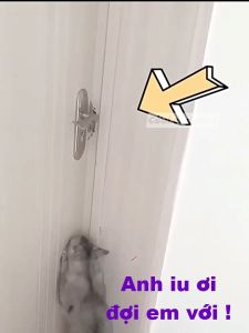 Khoá an toàn trẻ em chống mở tay gạt - Bảo vệ em bé và thú cưng thiết kế thông minh dễ lắp đặt