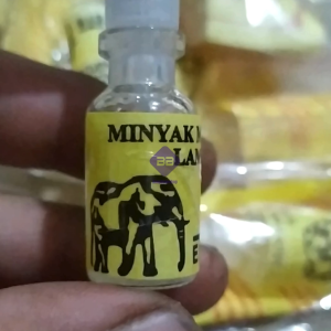 Minyak M4ni Gajah Lampung Asli