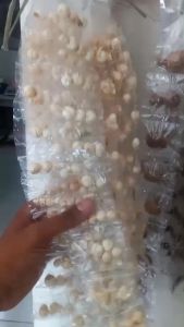 COD Bumbu dapur renceng 1 renceng isi 10 bungkus murah