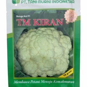 {Termurah} Benih Bunga Kol F1 TM KIRAN Kemasan 10gram