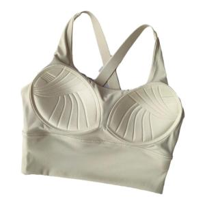 High Intensity Fixed Seamless Moisture Wicking Sports Bra