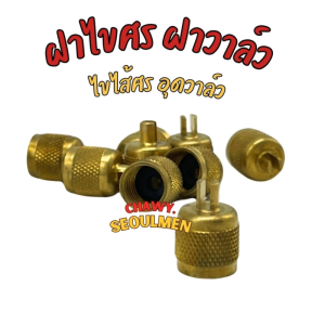 ถอดใส่ไก่ ลูกศรได้ ฝาปิดวาวล์ลูกศร ใช้ได้กับวาวล์ลูกศร และวาวล์ทั่วไป ขนาด 1/4 หุน วาวล์ศร ฝาปิดใช้กับวาวล์ลูกศร ขนาด 1/