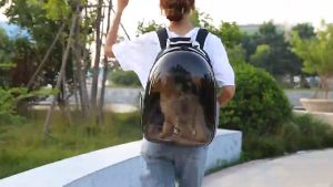 Balo phi hành gia trong suốt cho chó mèo kèm tấm lót- balo đựng chó mèo thiết kế nhiều lỗ thoáng khí cho thú cưng