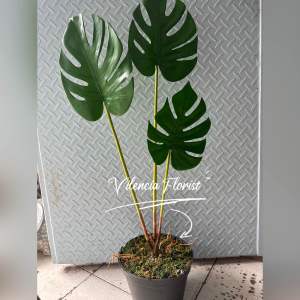 Tanaman monstera palsu hias artificial dekorasi dengan pot