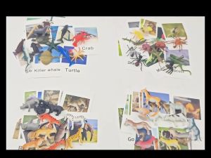 Giáo cụ Montessori - Thẻ hình & mô hình động vật chất liệu nhựa an toàn giúp bé phát triển trí tuệ