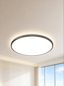 Chigo | Protect Eyes Full Spectrum Modern Minimalist Style Ceiling Light