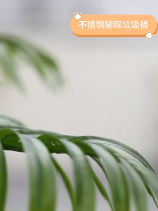 9L Kitchen Dustbin Stainless Steel Dust Bin Foot Pedal Rubbish Large Capacity Trash Can