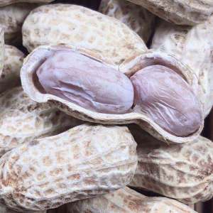 Roasted Boiled Garlic & Five Spice Flavored Peanuts
