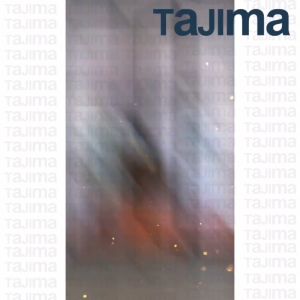 360 Degree Rotation Stainless Steel 304 Concealed Door Offset Pivot Rotating Hinge for Hidden Wood Door Side Hung Shaft