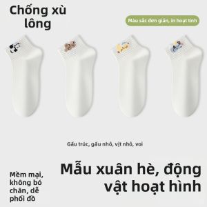Baisina | Vớ Cotton Chống Mồ Hôi Không Xù Và Kháng Khuẩn