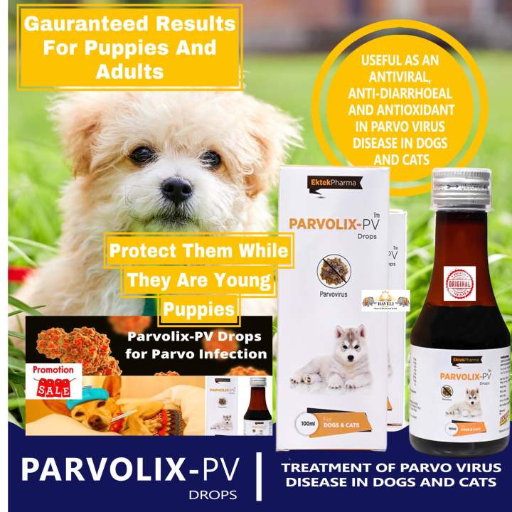 Parvolix Pv For Treatment Of Parvo Virus In Dogs And Cats 100ML Lazada PH