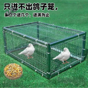 FUNNYDEER | Automatic Encrypted Pigeon Trap Cage