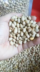 Đậu nành sấy giòn loại đặc biệt  đậu nành sấy ăn liền thương hiệu Hạt Sấy Thành Công Túi 1kg hoặc 500 gr. Date mới