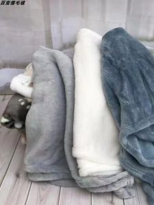 Pure Color Flannel Blanket Warm Summer Cover Winter Sheet Four Seasons Universal Clear Sale Quality Home Office Dormitory