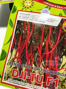 Benih Cabai Merah Keriting Dji-Tu F1 10 gram Cap Bunga Matahari dataran rendah unggul bibit biji jitu cabe pedas pedes hydroponik hidroponik