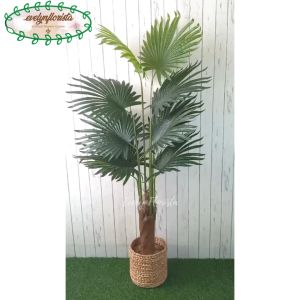 Pohon Hias Artificial Daun Palem Sadeng T160 Latex Pot Dasar Hitam Cover Eceng Gondok Hiasan Sudut Caffe Sudut Ruang