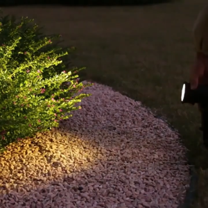 Solar-powered LED spotlight with adjustable head. 8.5cm x 6cm x 7.5cm dimensions. 30cm stake height. Illuminates plants with red and green light. Suitable for garden lighting.