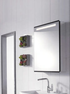Kohler | Smart Defogging Multifunctional Storage Vanity Mirror Cabinet 96107