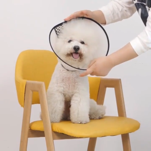 ปลอกคอกันเลีย สุนัขและแมว ปลอกคอกันเลีย เอลิซาเบธ ลำโพงแมว ลำโพงสุนัข ความปลอดภัย: 80+ ส่วน รูปทรง: 6-8 นิ้น