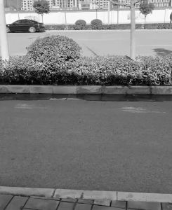 SLEEP SPRAY 1 วิถีหลับ 8 ชม สเปรย์นอนหลับ 60 ML สเปรย์ฉีดห้อง บอกลานอนไม่หลับ ไม่ฝันร้ายอีก สเปรย์ฉีดหมอน ช่วยลดความตึงเครียด และกลิ่นหอมลาเวนเดอร์ กลิ่นไม้วอร์มวูด ไร้ฮอร์โมน รวมถึงยาช่วยให้หลับ และยานอนหลับแบบน้ำ