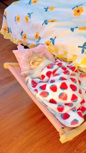 ที่นอนแมวแบบเปลแขวน เปลแมวแบบแขวน มีตะขอเกี่ยว สามารถเกาะขอบเตียง ขอบหน้าต่าง ขอบโซฟา