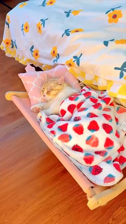 ที่นอนแมวแบบเปลแขวน ตะขอเกี่ยว ขอบเตียง หน้าต่าง โซฟา