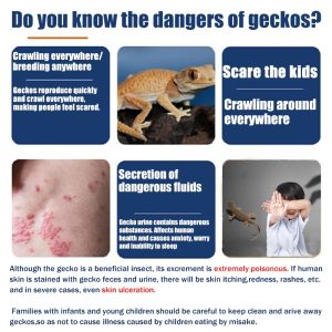 🔥100 years without lizards Lizard Pest Control Gel No harm to people and pets lizard killer🦎 bait 8 pcs/box The gecko died overnight racun cicak paling kuat Gel Cicak Lizard Gecko Insecticide Bait Gecko Killer Gel Bait ubat cicak paling berkesan