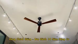 Quạt trần 3 cánh hiện đại dành cho chung cư - phòng khách - khách sạn - nhà hàng - tiệm cafe 6 cấp độ gió cực mạnh