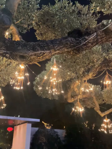 🔥24H SHIP🔥4Pcs 240LED Lampu Raya Solar Starburst Light 8 Modes Auto On/Off Hari Raya Decoration Hiasan Taman Pokok Khemah