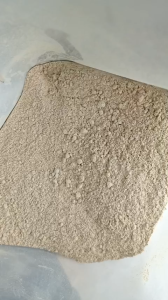 100g bột cây bạch đồng nữ nguyên chất siêu mịn