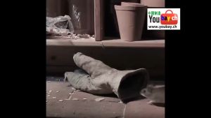 Ultrasonic Pest Repellent Electric Anti Mosquito Mouse Cockroach 超声波驱虫器 tikus halau Control Insect Powered insect Pest Home Insect Killer 3 Pin Pulg