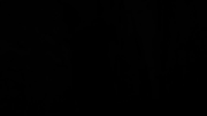 Atomos Shinobi GO 5.2" Touchscreen HDR Video/Photo Monitor