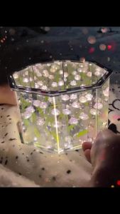 QIAOPIDIANDIAN | Đèn Đêm Trang Trí DIY Bằng Tay Hoa Hồng và Hoa Tulip