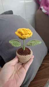 Chậu hoa len handmade làm quà tặng  decor bàn học  bàn làm việc