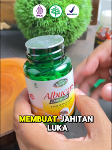 Albucaps Darusyifa Ekstrak Ikan Gabus Kutuk Channa Striata - Bantu Luka Pasca Operasi Cepat Kering
